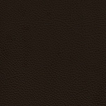 FABRIC Leather Due : Due / Chocolate